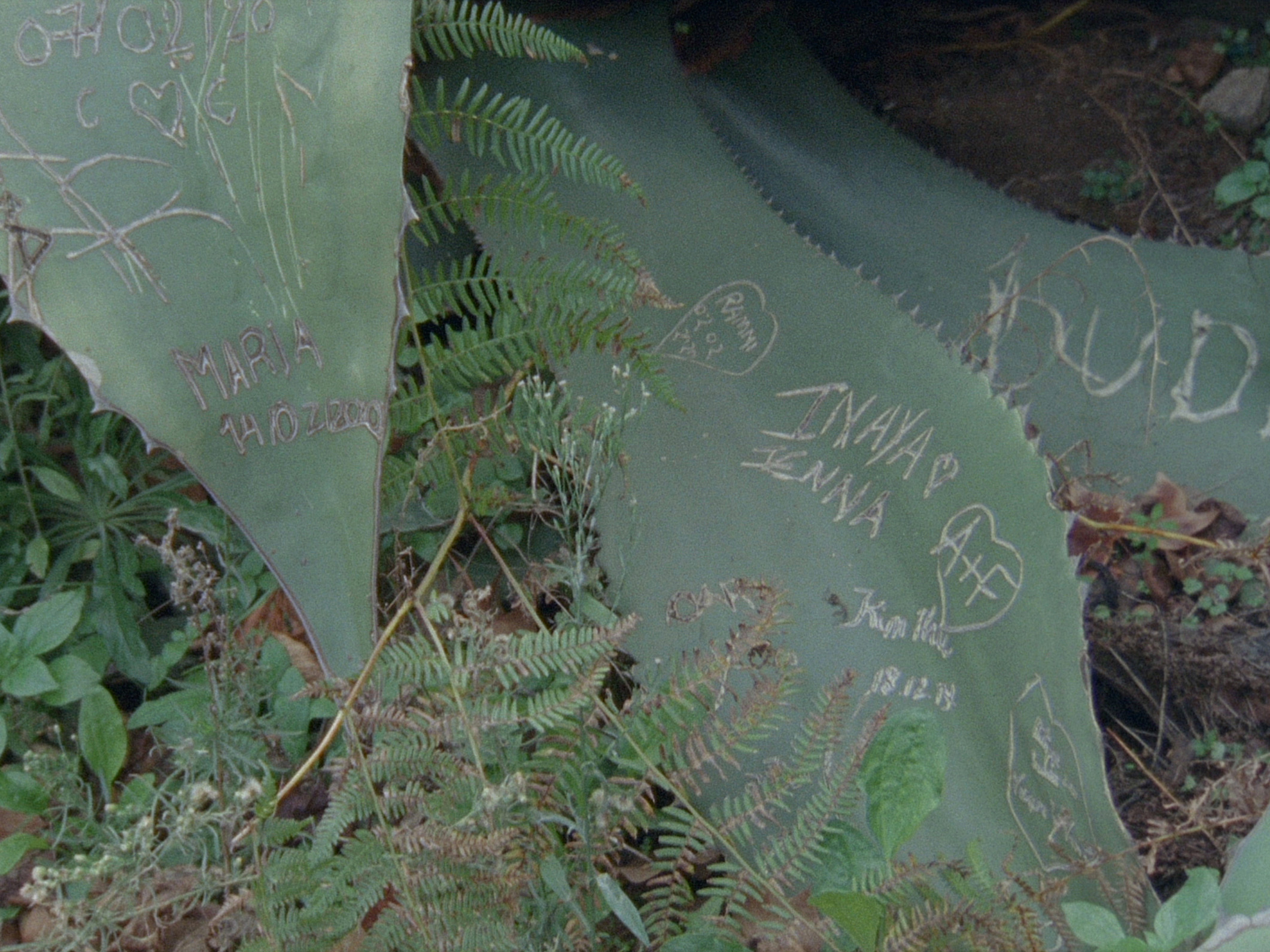 filmstill