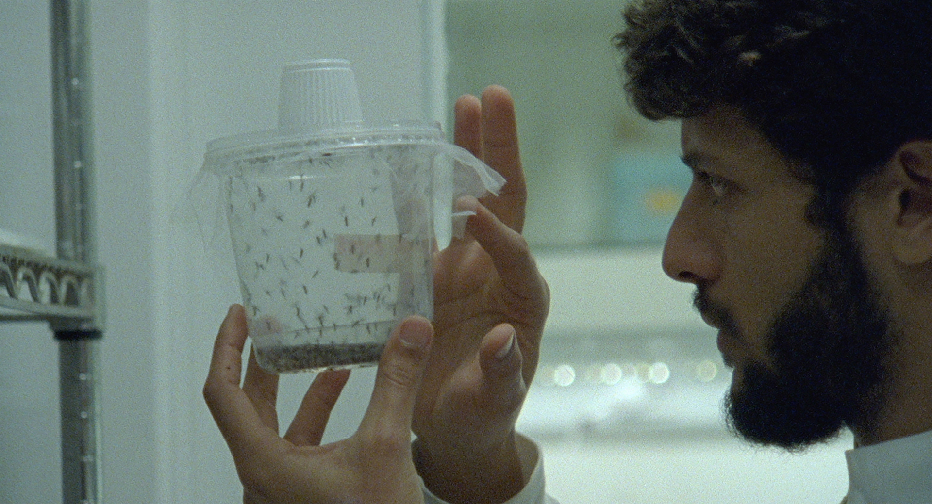 filmstill