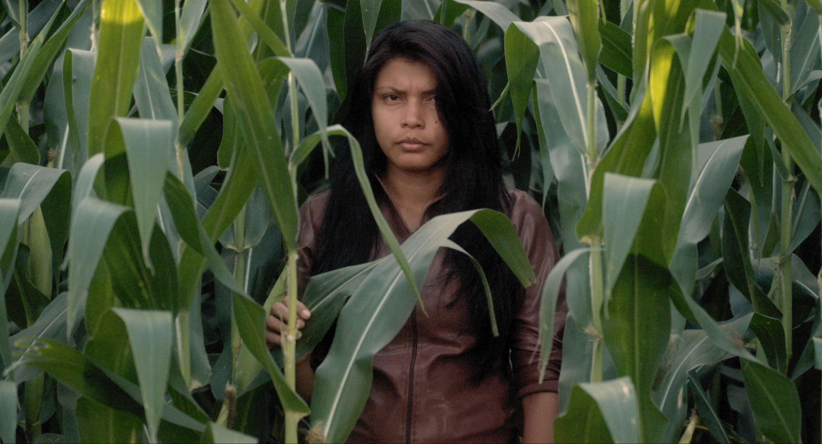 filmstill